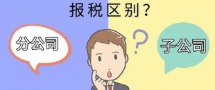 設(shè)立分公司和子公司，哪個(gè)更節(jié)稅？看完就明白了！