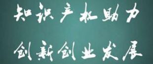 深南集團(tuán)召開(kāi)中小企業(yè)風(fēng)控管理及知識(shí)產(chǎn)權(quán)專題講座