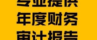 財務(wù)報表審計報告的費用是多少？